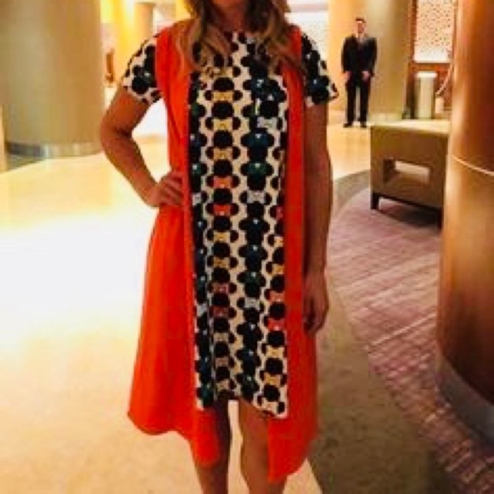 Lularoe Dress